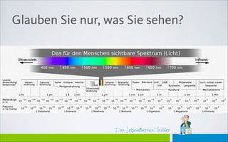 Der Lebensthemen-Trainer
Glauben Sie nur, was Sie sehen?
 