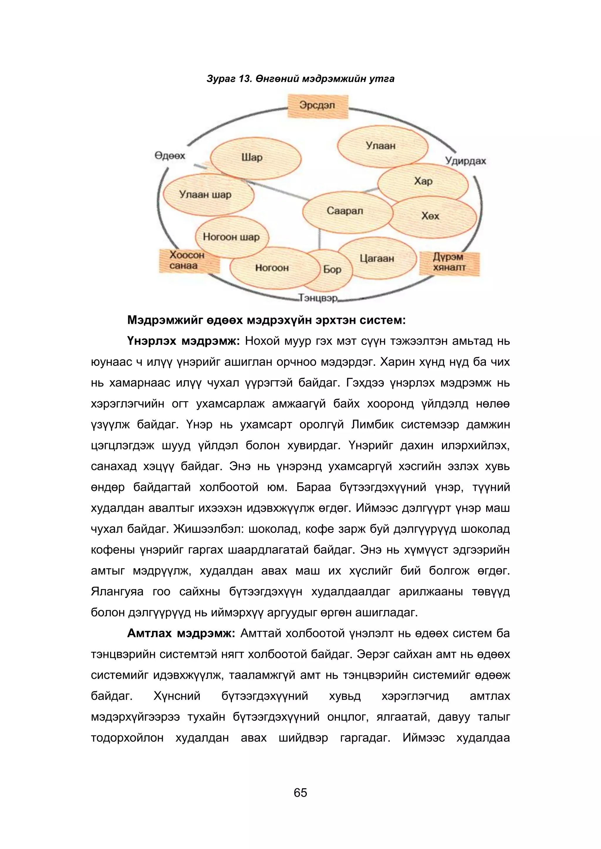 65
Зураг 13. Өнгөний мэдрэмжийн утга
Мэдрэмжийг өдөөх мэдрэхүйн эрхтэн систем:
Үнэрлэх мэдрэмж: Нохой муур гэх мэт сүүн тэжээлтэн амьтад нь
юунаас ч илүү үнэрийг ашиглан орчноо мэдэрдэг. Харин хүнд нүд ба чих
нь хамарнаас илүү чухал үүрэгтэй байдаг. Гэхдээ үнэрлэх мэдрэмж нь
хэрэглэгчийн огт ухамсарлаж амжаагүй байх хооронд үйлдэлд нөлөө
үзүүлж байдаг. Үнэр нь ухамсарт оролгүй Лимбик системээр дамжин
цэгцлэгдэж шууд үйлдэл болон хувирдаг. Үнэрийг дахин илэрхийлэх,
санахад хэцүү байдаг. Энэ нь үнэрэнд ухамсаргүй хэсгийн эзлэх хувь
өндөр байдагтай холбоотой юм. Бараа бүтээгдэхүүний үнэр, түүний
худалдан авалтыг ихээхэн идэвхжүүлж өгдөг. Иймээс дэлгүүрт үнэр маш
чухал байдаг. Жишээлбэл: шоколад, кофе зарж буй дэлгүүрүүд шоколад
кофены үнэрийг гаргах шаардлагатай байдаг. Энэ нь хүмүүст эдгээрийн
амтыг мэдрүүлж, худалдан авах маш их хүслийг бий болгож өгдөг.
Ялангуяа гоо сайхны бүтээгдэхүүн худалдаалдаг арилжааны төвүүд
болон дэлгүүрүүд нь иймэрхүү аргуудыг өргөн ашигладаг.
Амтлах мэдрэмж: Амттай холбоотой үнэлэлт нь өдөөх систем ба
тэнцвэрийн системтэй нягт холбоотой байдаг. Эерэг сайхан амт нь өдөөх
системийг идэвхжүүлж, тааламжгүй амт нь тэнцвэрийн системийг өдөөж
байдаг. Хүнсний бүтээгдэхүүний хувьд хэрэглэгчид амтлах
мэдэрхүйгээрээ тухайн бүтээгдэхүүний онцлог, ялгаатай, давуу талыг
тодорхойлон худалдан авах шийдвэр гаргадаг. Иймээс худалдаа
 