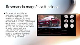 Resonancia magnética funcional
• Esta técnica obtiene
imágenes del cerebro
mientras desarrolla una
actividad o recibe estímulos
exteriores, mostrando qué
áreas del mismo se activan.
Puede proporcionar
información valiosísima,
pero a cambio tiene un
coste muy elevado.
 