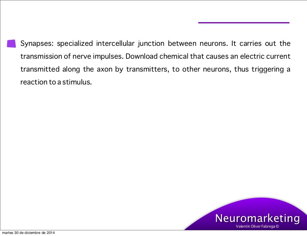 Neuromarketing articles pdf image