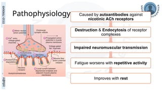 Pathophysiology Caused by autoantibodies against
nicotinic ACh receptors
Destruction & Endocytosis of receptor
complexes
Impaired neuromuscular transmission
Fatigue worsens with repetitive activity
Improves with rest
 