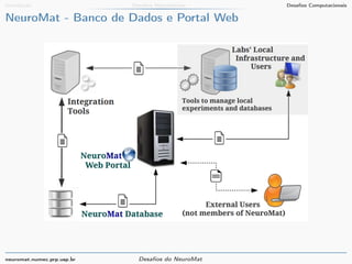 Introdução Desafios Matemáticos Desafios Computacionais 
NeuroMat - Banco de Dados e Portal Web 
neuromat.numec.prp.usp.br Desafios do NeuroMat 
 
