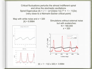 Critical fluctuations perturbs the almost indifferent spiral
and drive the stochastic oscillations
Spiral Eigenvalue |ƛ| = ( 1 − (𝞽+2)/[𝞽(𝞽-1)] )1/2 ≈ 1 − 1/(2𝞽)
(very close to a Neimark-Sacker critical point)
Map with white noise and 𝞽 = 320
|ƛ| = 0.9984 Simulations without external noise
but with avalanches:
N = 160,000
𝞽 = 320
|ƛ| ≃ 1 − 1/(2 x 320) ≈ 0.9984
 