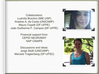 Collaborators:
Ludmila Brochini (IME-USP)
Ariadne A. da Costa (UNICAMP)
Mauro Copelli (DF-UFPE)
João Guilherme F. Campos (DF-UFPE)
Financial support from:
CEPID NEUROMAT
NAP CNAIPS
Discussions and ideas:
Jorge Stolfi (UNICAMP)
Marcelo Tragtenberg (DF-UFSC)
 