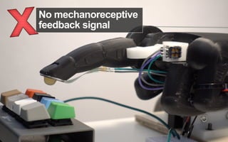 Neuromechanics of a Button Press
Oulasvirta, Kim, & Lee Proc. CHI 2018 bit.do/neuromechanics
No mechanoreceptive
feedback ...