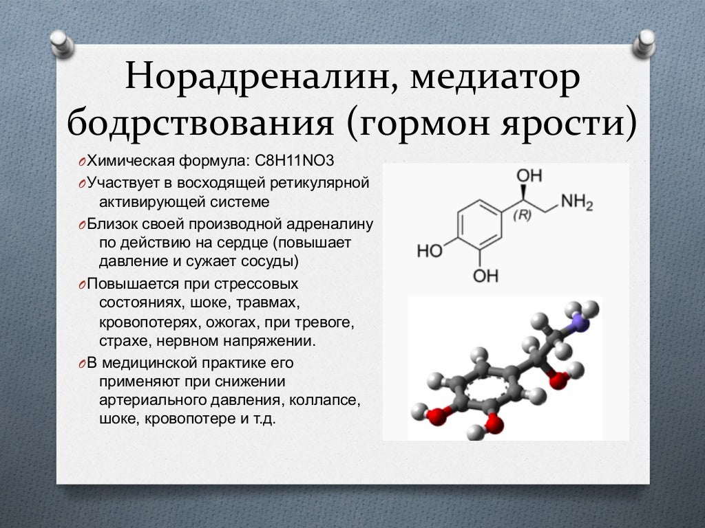 Нейромедиаторы
