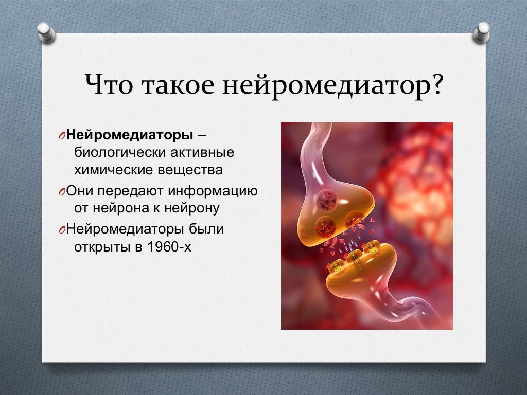 Нейромедиаторы