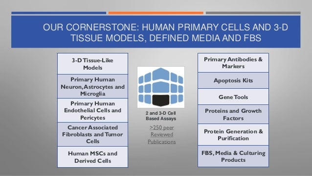 OUR CORNERSTONE: HUMAN PRIMARY CELLS AND 3-D
TISSUE MODELS, DEFINED MEDIA AND FBS
2 and 3-D Cell
Based Assays
>250 peer
Reviewed
Publications
3-DTissue-Like
Models
Primary Human
Neuron,Astrocytes and
Microglia
Primary Human
Endothelial Cells and
Pericytes
Cancer Associated
Fibroblasts andTumor
Cells
Human MSCs and
Derived Cells
Primary Antibodies &
Markers
Apoptosis Kits
GeneTools
Proteins and Growth
Factors
Protein Generation &
Purification
FBS, Media & Culturing
Products
 