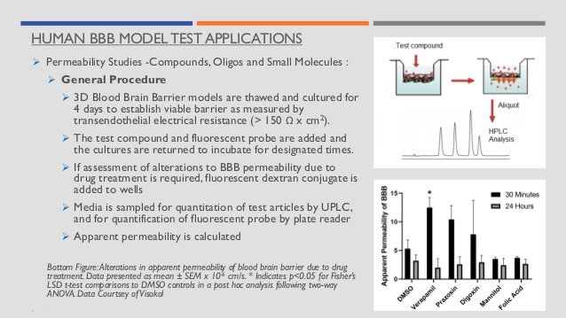 HUMAN BBB MODEL TEST APPLICATIONS
➢ Permeability Studies -Compounds, Oligos and Small Molecules :
➢ General Procedure
➢ 3D Blood Brain Barrier models are thawed and cultured for
4 days to establish viable barrier as measured by
transendothelial electrical resistance (> 150 Ω x cm2).
➢ The test compound and fluorescent probe are added and
the cultures are returned to incubate for designated times.
➢ If assessment of alterations to BBB permeability due to
drug treatment is required, fluorescent dextran conjugate is
added to wells
➢ Media is sampled for quantitation of test articles by UPLC,
and for quantification of fluorescent probe by plate reader
➢ Apparent permeability is calculated
Bottom Figure:Alterations in apparent permeability of blood brain barrier due to drug
treatment. Data presented as mean ± SEM x 10-6 cm/s. * Indicates p<0.05 for Fisher’s
LSD t-test comparisons to DMSO controls in a post hoc analysis following two-way
ANOVA. Data Courtsey ofVisokol
 ;
 