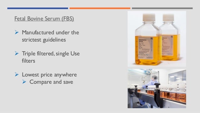 Fetal Bovine Serum (FBS)
➢ Manufactured under the
strictest guidelines
➢ Triple filtered, single Use
filters
➢ Lowest price anywhere
➢ Compare and save
 