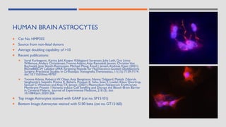 HUMAN BRAIN ASTROCYTES
 Cat No. HMP202
 Source from non-fetal donors
 Average doubling capability of >10
 Recent publications:
 Sorel Kurbegovic, Karina Juhl, Kasper Kildegaard Sorensen, Julie Leth, Gro Linno
Willemoe,Anders Christensen,Yvonne Adams,Anja Ramstedt Jensen, ChristianVon
Buchwald, Jane Skjoth-Rasmussen, Michael Ploug, Knud J. Jensen,Andreas Kjaer. (2021).
IRDye800CW Labeled uPAR-Targeting Peptide for Fluorescence-Guided Glioblastoma
Surgery: Preclinical Studies in Orthotopic Xenografts.Theranostics, 11(15): 7159-7174.
doi: 10.7150/thno.49787
 Yvonne Adams, Rebecca W. Olsen,Anja Bengtsson, Nanna Dalgaard, Mykola Zdioruk,
Sanghamitra Satpathi, Prativa K. Behera, Praveen K. Sahu, Sean E. Lawler, Klaus Qvortrup,
Samuel C.Wassmer, and Anja T.R. Jensen. (2021). Plasmodium Falciparum Erythrocyte
Membrane Protein 1Variants Induce Cell Swelling and Disrupt the Blood–Brain Barrier
in Cerebral Malaria. Journal of Experimental Medicine, 218 (3). doi:
10.1084/jem.20201266
 Top image:Astrocytes stained with GFAP (cat no. SP15101)
 Bottom Image:Astrocytes stained with S100 beta (cat no. GT15160)
 