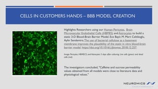 CELLS IN CUSTOMERS HANDS – BBB MODEL CREATION
Highlights Researchers using our Human Pericytes, Brain
Microvascular Endothelial Cells (HBMES) and Astrocytes to build a
static 3-D Blood-Brain Barrier Model. Ece Bayir, M. Mert Celtikoglu,
Aylin Sendemira.The use of bacterial cellulose as a basement
membrane improves the plausibility of the static in vitro blood-brain
barrier model. https://doi.org/10.1016/j.ijbiomac.2018.12.257.
Image: Pericytes, HBMECS, and Astrocytes 5 days after culturing. Live cells (green) and dead
cells (red).
The investigators concluded, "Caffeine and sucrose permeability
values obtained from all models were close to literature data and
physiological values."
 