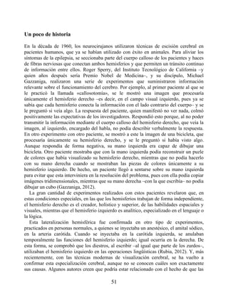 Un poco de historia
En la década de 1960, los neurocirujanos utilizaron técnicas de escisión cerebral en
pacientes humanos, que ya se habían utilizado con éxito en animales. Para aliviar los
síntomas de la epilepsia, se seccionaba parte del cuerpo calloso de los pacientes y haces
de fibras nerviosas que conectan ambos hemisferios y que permiten un tránsito continuo
de información entre ellos. Roger Sperry, del Instituto Tecnológico de California –y
quien años después sería Premio Nobel de Medicina–, y su discípulo, Michael
Gazzaniga, realizaron una serie de experimentos que suministraron información
relevante sobre el funcionamiento del cerebro. Por ejemplo, al primer paciente al que se
le practicó la llamada «callosotomía», se le mostró una imagen que procesaría
únicamente el hemisferio derecho –es decir, en el campo visual izquierdo, pues ya se
sabía que cada hemisferio conecta la información con el lado contrario del cuerpo– y se
le preguntó si veía algo. La respuesta del paciente, quien manifestó no ver nada, colmó
positivamente las expectativas de los investigadores. Respondió esto porque, al no poder
transmitir la información mediante el cuerpo calloso del hemisferio derecho, que veía la
imagen, al izquierdo, encargado del habla, no podía describir verbalmente la respuesta.
En otro experimento con otro paciente, se mostró a este la imagen de una bicicleta, que
procesaría únicamente su hemisferio derecho, y se le preguntó si había visto algo.
Aunque respondía de forma negativa, su mano izquierda era capaz de dibujar una
bicicleta. Otro paciente mostraba que con la mano izquierda podía reconstruir un puzle
de colores que había visualizado su hemisferio derecho, mientras que no podía hacerlo
con su mano derecha cuando se mostraban las piezas de colores únicamente a su
hemisferio izquierdo. De hecho, un paciente llegó a sentarse sobre su mano izquierda
para evitar que esta interviniera en la resolución del problema, pues con ella podía copiar
imágenes tridimensionales, mientras que su mano derecha –con la que escribía– no podía
dibujar un cubo (Gazzaniga, 2012).
La gran cantidad de experimentos realizados con estos pacientes revelaron que, en
estas condiciones especiales, en las que los hemisferios trabajan de forma independiente,
el hemisferio derecho es el creador, holístico y superior, de las habilidades espaciales y
visuales, mientras que el hemisferio izquierdo es analítico, especializado en el lenguaje o
la lógica.
Esta lateralización hemisférica fue confirmada en otro tipo de experimentos,
practicados en personas normales, a quienes se inyectaba un anestésico, el amital sódico,
en la arteria carótida. Cuando se inyectaba en la carótida izquierda, se anulaban
temporalmente las funciones del hemisferio izquierdo; igual ocurría en la derecha. De
esta forma, se comprobó que los diestros, al escribir –al igual que parte de los zurdos–,
utilizaban el hemisferio izquierdo en las operaciones lingüísticas (Rubia, 2012). Y, más
recientemente, con las técnicas modernas de visualización cerebral, se ha vuelto a
confirmar esta especialización cerebral, aunque no se conocen cuáles son exactamente
sus causas. Algunos autores creen que podría estar relacionado con el hecho de que las
51
 