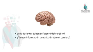 • ¿Los docentes saben suficiente del cerebro?
• ¿Tienen información de calidad sobre el cerebro?
 