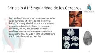 Principio #1: Singularidad de los Cerebros
• Los cerebros humanos son tan únicos como las
caras humanas. Mientras que la estructura
básica de la mayoría de los cerebros humanos
es la misma (partes similares en regiones
similares), no hay dos cerebros idénticos. El
genético único de cada persona se combina
con experiencias de vida [y libre voluntad] para
dar forma a los caminos neurales.
8 October 2018 Tokuhama-Espinosa 49
 