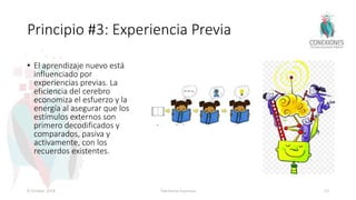 Principio #3: Experiencia Previa
• El aprendizaje nuevo está
influenciado por
experiencias previas. La
eficiencia del cerebro
economiza el esfuerzo y la
energía al asegurar que los
estímulos externos son
primero decodificados y
comparados, pasiva y
activamente, con los
recuerdos existentes.
8 October 2018 Tokuhama-Espinosa 53
 