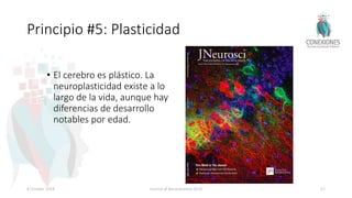 Principio #5: Plasticidad
• El cerebro es plástico. La
neuroplasticidad existe a lo
largo de la vida, aunque hay
diferencias de desarrollo
notables por edad.
8 October 2018 Journal of Neuroscience 2016 57
 