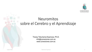 Neuromitos
sobre el Cerebro y el Aprendizaje
Tracey Tokuhama-Espinosa, Ph.D.
info@conexiones.com.ec
www.conexiones.com.ec
6 April 2022 Tokuhama-Espinosa 1
 