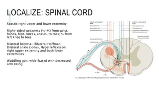 LOCALIZE: SPINAL CORD
Spastic right upper and lower extremity
Right-sided weakness (⅗-⅘) from wrist,
hands, hips, knees, a...