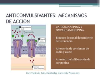 ANTICONVULSIVANTES: MECANISMOS
DE ACCION
                                 • CARBAMAZEPINA Y
                                   OXCARBAMAZEPINA

                                 • Bloqueo de canal dependiente
                                   de frecuencia.

                                 • Alteración de corrientes de
                                   sodio y calcio

                                 • Aumento de la liberación de
                                   serotonina


       Core Topics in Pain. Cambridge University Press 2005
 