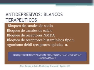 ANTIDEPRESIVOS: BLANCOS
TERAPEUTICOS
Bloqueo de canales de sodio
Bloqueo de canales de calcio
Bloqueo de receptores NMDA
Bloqueo de receptores histamínicos tipo 1.
Agonismo débil receptores opiodes u.

    BLOQUEO DE RECAPTACION DE MONOAMINAS FASCICULO
                     DESCENDENTE


        Core Topics in Pain. Cambridge University Press 2005
 