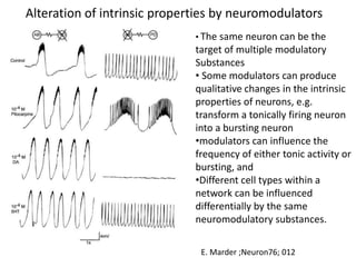 Neuromodulation in cognition | PPTX