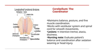 Neuro Module -2.pptx Overview of Neurological Function and Critical ...