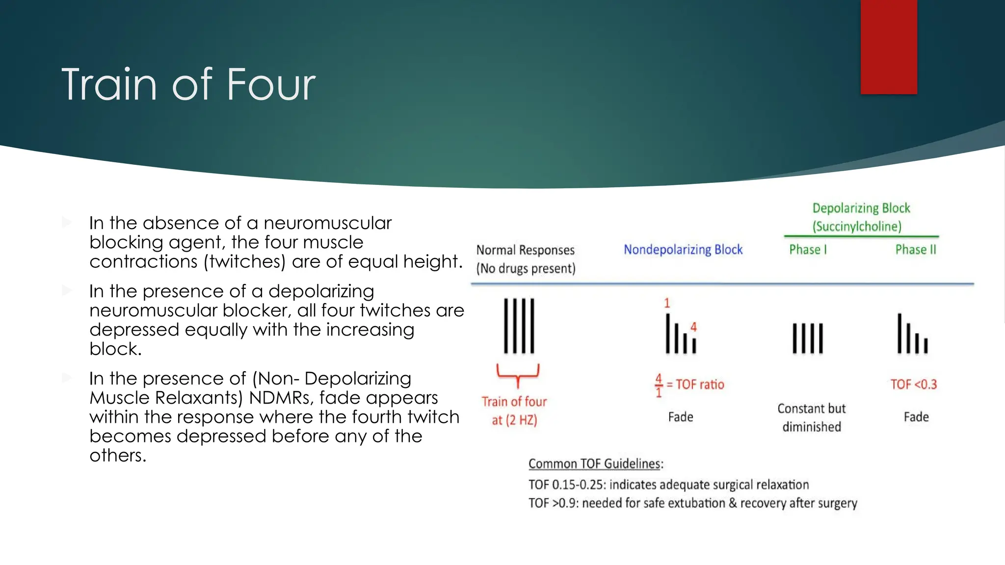 Train of Four
 In the absence of a neuromuscular
blocking agent, the four muscle
contractions (twitches) are of equal height.
 In the presence of a depolarizing
neuromuscular blocker, all four twitches are
depressed equally with the increasing
block.
 In the presence of (Non- Depolarizing
Muscle Relaxants) NDMRs, fade appears
within the response where the fourth twitch
becomes depressed before any of the
others.
 