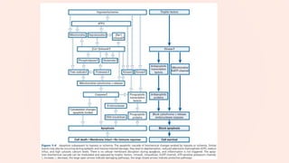 NEUROMONITORING IN ANAESTHESIA | PPTX