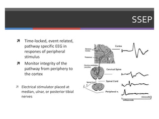 SSEP
 Time-locked, event related,
pathway specific EEG in
respones of peripheral
stimulus
 Monitor integrity of the
pathway from periphery to
the cortex
 Electrical stimulator placed at
median, ulnar, or posterior tibial
nerves
 