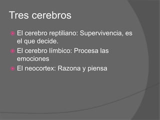 Tres cerebros
 El cerebro reptiliano: Supervivencia, es
el que decide.
 El cerebro límbico: Procesa las
emociones
 El neocortex: Razona y piensa
 