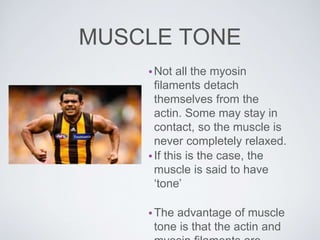 MUSCLE TONE
•Not all the myosin
filaments detach
themselves from the
actin. Some may stay in
contact, so the muscle is
never completely relaxed.
•If this is the case, the
muscle is said to have
‘tone’
•The advantage of muscle
tone is that the actin and
 