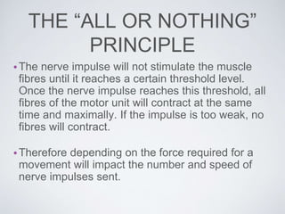 THE “ALL OR NOTHING”
PRINCIPLE
•The nerve impulse will not stimulate the muscle
fibres until it reaches a certain threshold level.
Once the nerve impulse reaches this threshold, all
fibres of the motor unit will contract at the same
time and maximally. If the impulse is too weak, no
fibres will contract.
•Therefore depending on the force required for a
movement will impact the number and speed of
nerve impulses sent.
 