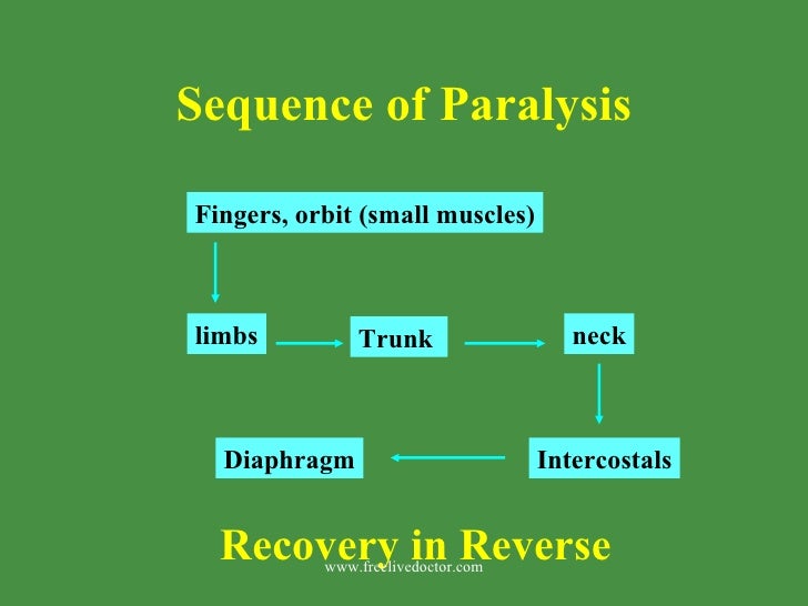 Neuro muscular blockers