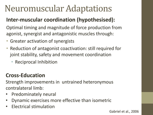 Neuromuscular Adaptations to Sports Training | PPTX | Brain and Nervous ...