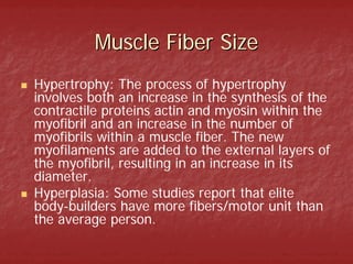 Muscle Fiber Size
Hypertrophy: The process of hypertrophy
involves both an increase in the synthesis of the
contractile proteins actin and myosin within the
myofibril and an increase in the number of
myofibrils within a muscle fiber. The new
myofilaments are added to the external layers of
the myofibril, resulting in an increase in its
diameter.
Hyperplasia: Some studies report that elite
body-builders have more fibers/motor unit than
the average person.
 