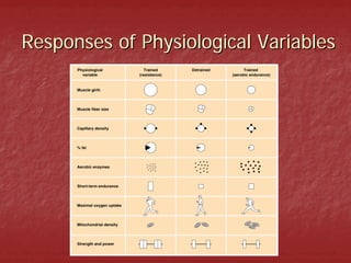 Responses of Physiological Variables
 