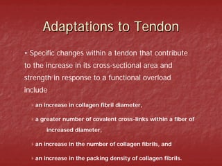Adaptations to Tendon
• Specific changes within a tendon that contribute
to the increase in its cross-sectional area and
strength in response to a functional overload
include
   an increase in collagen fibril diameter,

   a greater number of covalent cross-links within a fiber of
       increased diameter,

   an increase in the number of collagen fibrils, and

   an increase in the packing density of collagen fibrils.
 