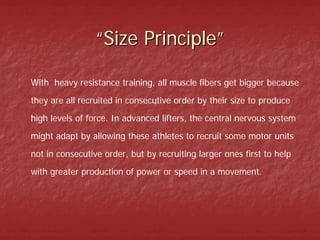 “Size Principle”

With heavy resistance training, all muscle fibers get bigger because

they are all recruited in consecutive order by their size to produce
high levels of force. In advanced lifters, the central nervous system

might adapt by allowing these athletes to recruit some motor units

not in consecutive order, but by recruiting larger ones first to help
with greater production of power or speed in a movement.
 