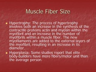 Muscle Fiber Size
Hypertrophy: The process of hypertrophy
involves both an increase in the synthesis of the
contractile pr...