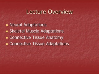 Lecture Overview

Neural Adaptations
Skeletal Muscle Adaptations
Connective Tissue Anatomy
Connective Tissue Adaptations
 