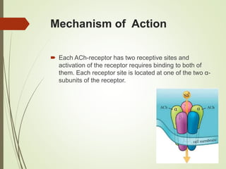 Mechanism of Action
 Each ACh-receptor has two receptive sites and
activation of the receptor requires binding to both of
them. Each receptor site is located at one of the two α-
subunits of the receptor.
 