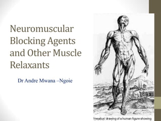 Neuromuscular
Blocking Agents
and Other Muscle
Relaxants
Dr Andre Mwana –Ngoie
 