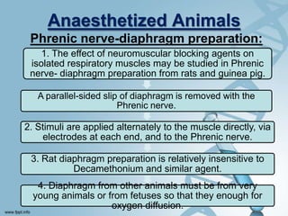 Anaesthetized Animals
Phrenic nerve-diaphragm preparation:
12
1. The effect of neuromuscular blocking agents on
isolated respiratory muscles may be studied in Phrenic
nerve- diaphragm preparation from rats and guinea pig.
A parallel-sided slip of diaphragm is removed with the
Phrenic nerve.
2. Stimuli are applied alternately to the muscle directly, via
electrodes at each end, and to the Phrenic nerve.
3. Rat diaphragm preparation is relatively insensitive to
Decamethonium and similar agent.
4. Diaphragm from other animals must be from very
young animals or from fetuses so that they enough for
oxygen diffusion.
 