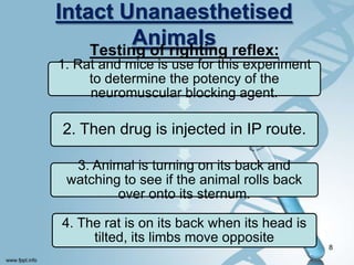 Intact Unanaesthetised
AnimalsTesting of righting reflex:
8
1. Rat and mice is use for this experiment
to determine the potency of the
neuromuscular blocking agent.
2. Then drug is injected in IP route.
3. Animal is turning on its back and
watching to see if the animal rolls back
over onto its sternum.
4. The rat is on its back when its head is
tilted, its limbs move opposite
 