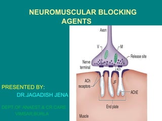 NEUROMUSCULAR BLOCKING
AGENTS
PRESENTED BY:
DR.JAGADISH JENA
DEPT.OF ANAEST.& CR.CARE
VIMSAR,BURLA
 