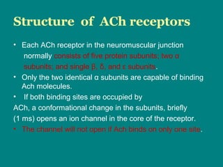 Neuromuscular blocking agents | PPT