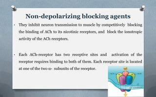 • They inhibit neuron transmission to muscle by competitively blocking
the binding of ACh to its nicotinic receptors, and block the ionotropic
activity of the ACh receptors.
• Each ACh-receptor has two receptive sites and activation of the
receptor requires binding to both of them. Each receptor site is located
at one of the two α- subunits of the receptor.
Non-depolarizing blocking agents
13
 