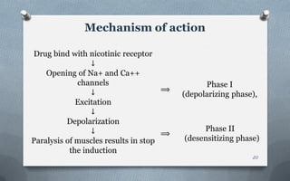 Drug bind with nicotinic receptor
↓
Opening of Na+ and Ca++
channels
↓
Excitation
↓
Depolarization
↓
Paralysis of muscles results in stop
the induction
⟹
⟹
Phase I
(depolarizing phase),
Phase II
(desensitizing phase)
Mechanism of action
20
 