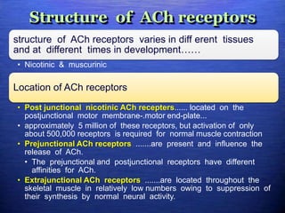 Structure of ACh receptors
structure of ACh receptors varies in diff erent tissues
and at different times in development……
• Nicotinic & muscurinic
Location of ACh receptors
• Post junctional nicotinic ACh recepters...... located on the
postjunctional motor membrane-.motor end-plate...
• approximately 5 million of these receptors, but activation of only
about 500,000 receptors is required for normal muscle contraction
• Prejunctional ACh receptors .......are present and influence the
release of ACh.
• The prejunctional and postjunctional receptors have different
affinities for ACh.
• Extrajunctional ACh receptors .......are located throughout the
skeletal muscle in relatively low numbers owing to suppression of
their synthesis by normal neural activity.
 